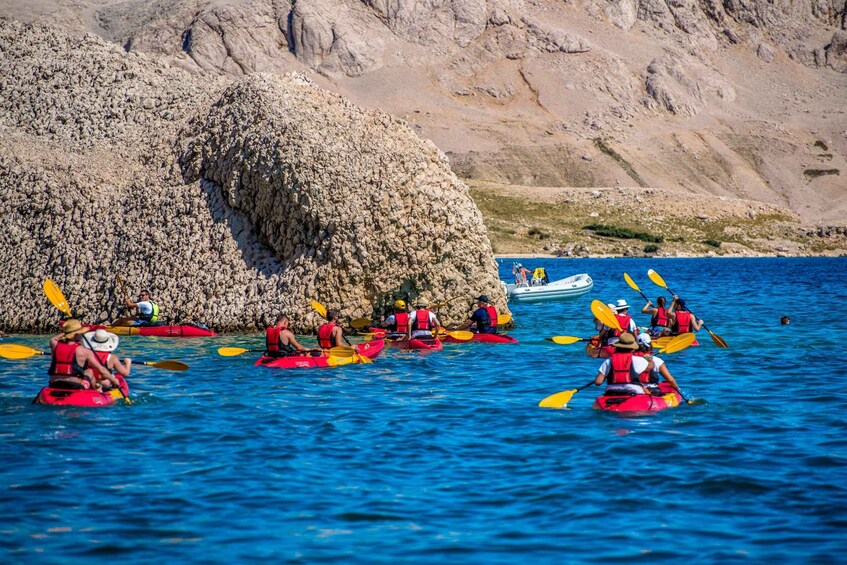 Picture 12 for Activity From Metajna/Novalja: Pag Bay Guided Sea Kayaking Tour