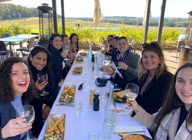 From Sydney: Hunter Valley Beer & Wine Group Tour