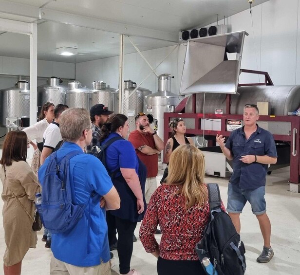 From Sydney: Hunter Valley Beer & Wine Group Tour