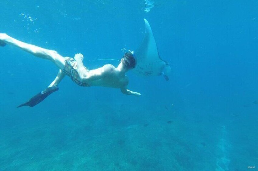 Manta Bay Snorkeling