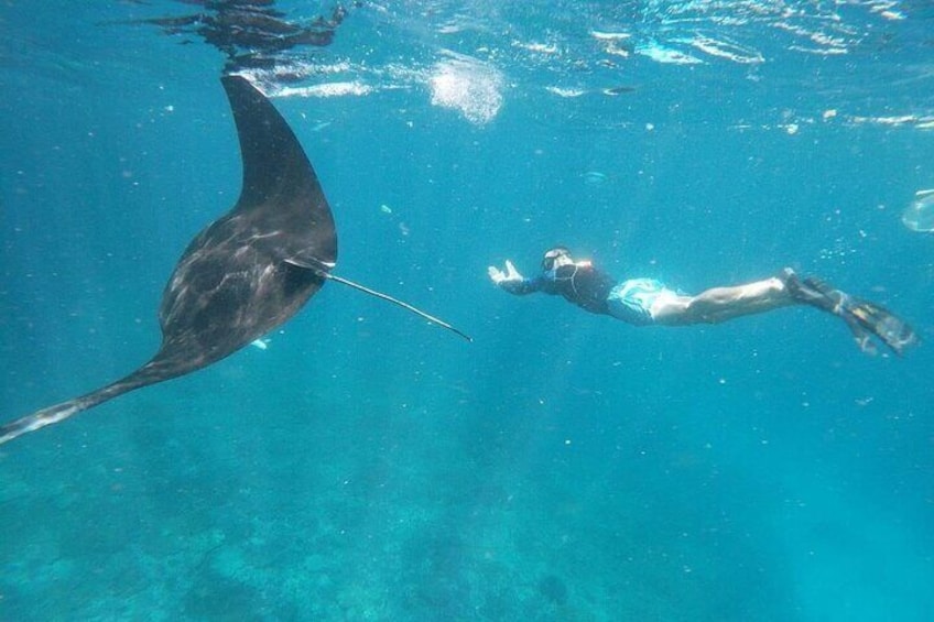 Manta Bay Snorkeling