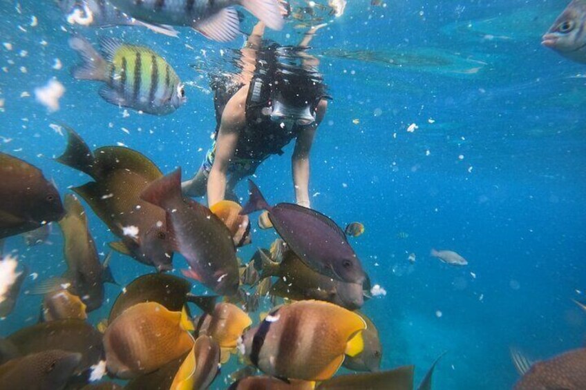 Crystal Bay Snorkeling