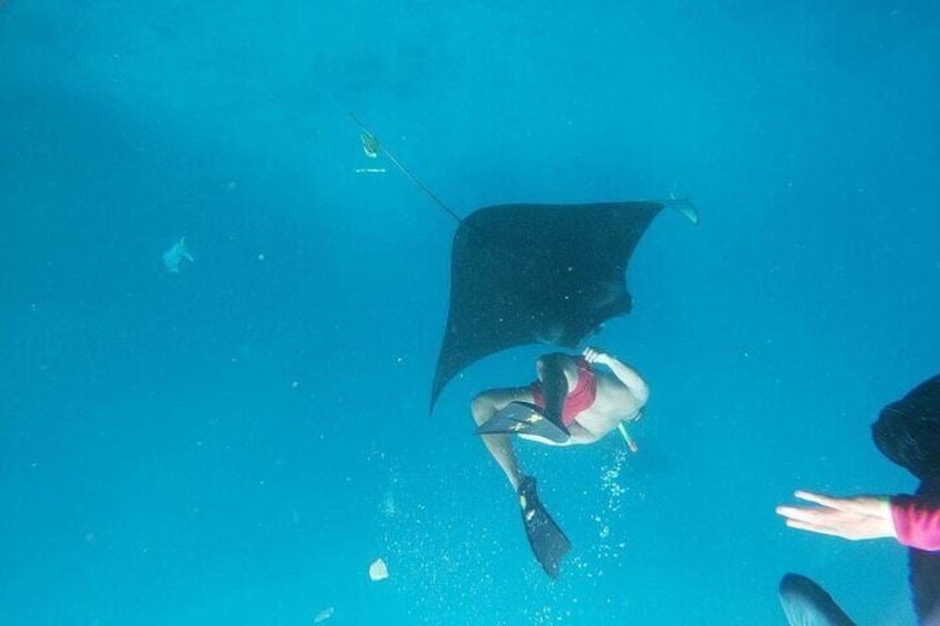 Manta Bay Snorkeling
