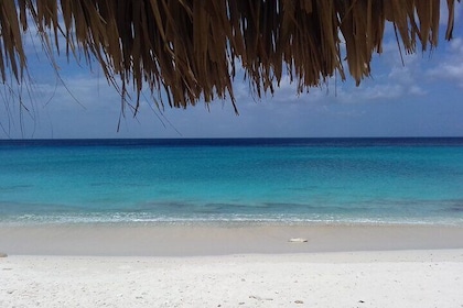 Turtle's Beach Curacao