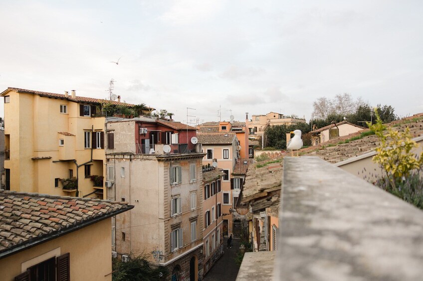 Rome Jewish Quarter & Trastevere Food Tour with Rooftop