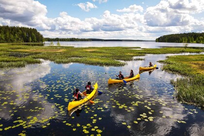 Rovaniemi: Authentische Rentierfarm und Kanufahren