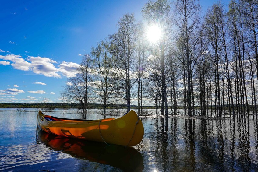 Picture 12 for Activity Rovaniemi: Authentic Reindeer Farm & Canoeing