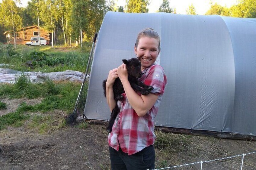A Walk in the Woods...with REINDEER!