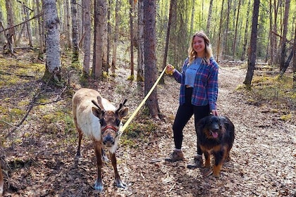 The Reindeer Grove Homestead Tour and Forage