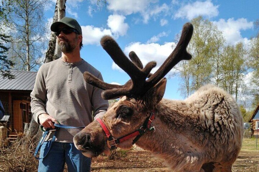 A Walk in the Woods...with REINDEER!