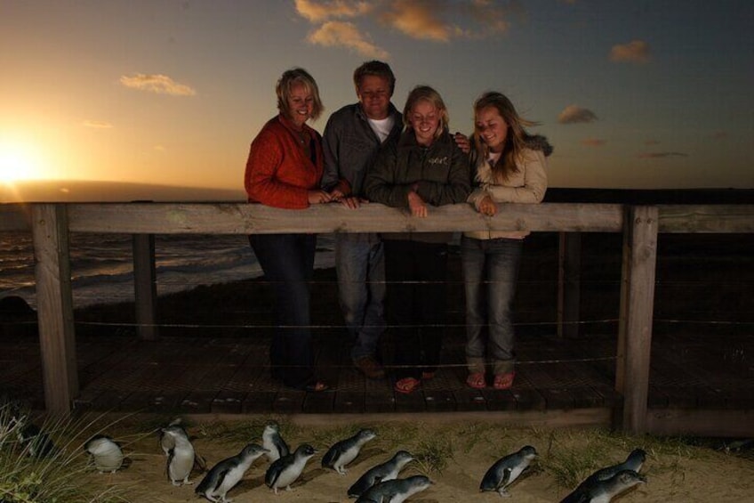 Family at the Penguin Parade