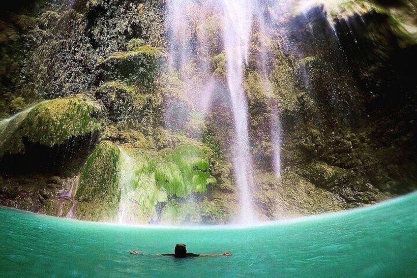 Oslob Whaleshark and Tumalog Falls Joiners