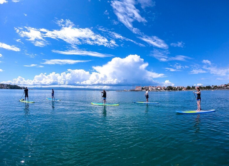 Picture 11 for Activity Split: Adriatic Sea and River Stand-Up Paddleboard Tour