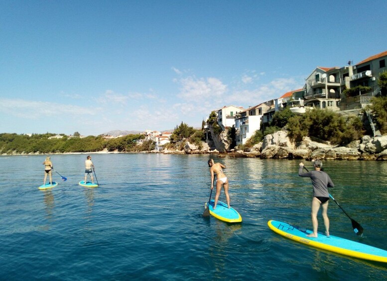 Picture 9 for Activity Split: Adriatic Sea and River Stand-Up Paddleboard Tour