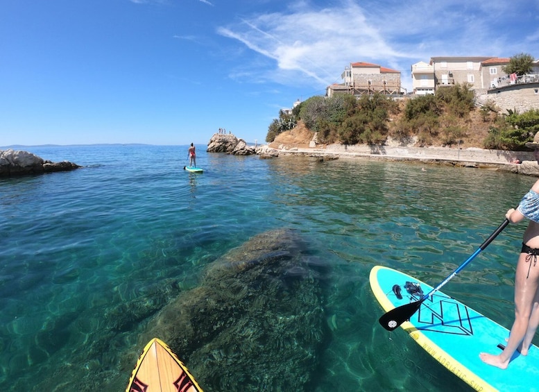 Picture 6 for Activity Split: Adriatic Sea and River Stand-Up Paddleboard Tour