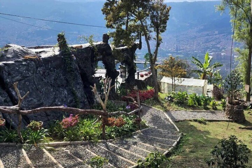 2 Days Colombian Coffee Farm Experience
