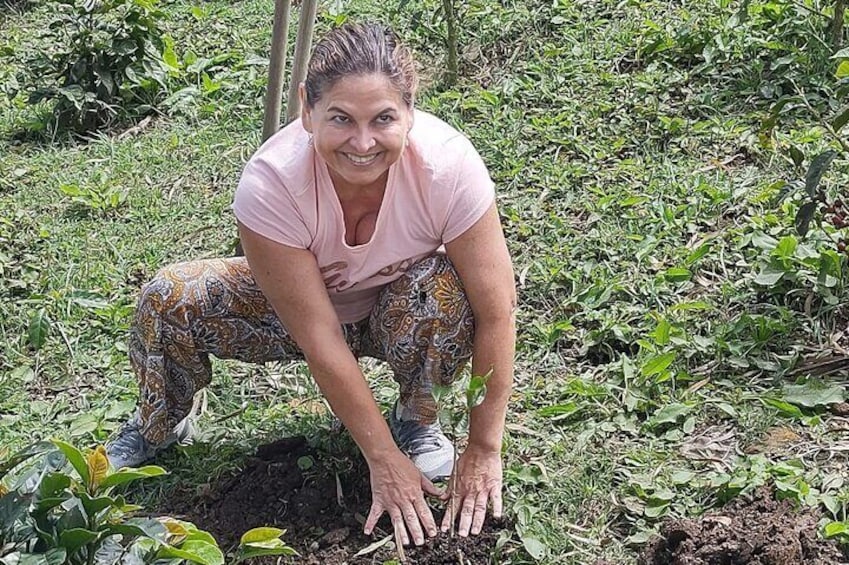 2 Days Colombian Coffee Farm Experience