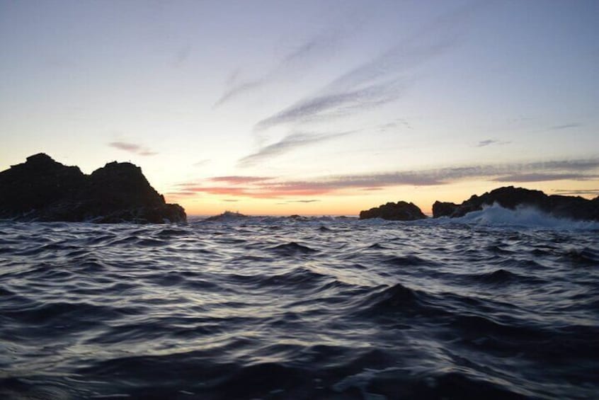 2 Hour Boat Tour in Twillingate
