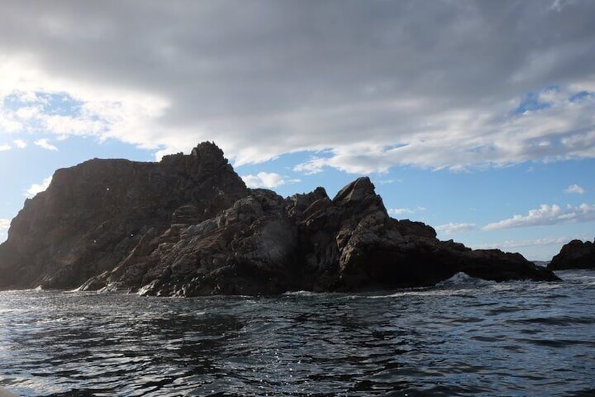 2 Hour Boat Tour in Twillingate