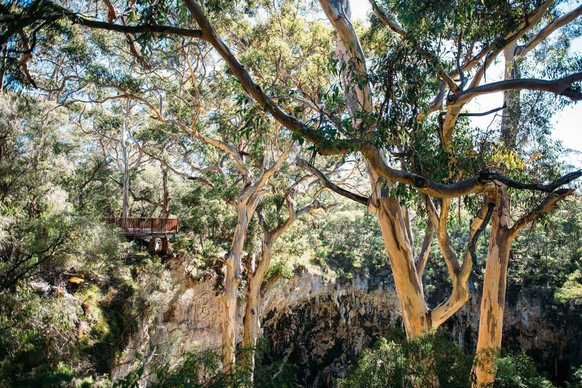 Picture 1 for Activity Margaret River: Lake Cave Fully-Guided Tour