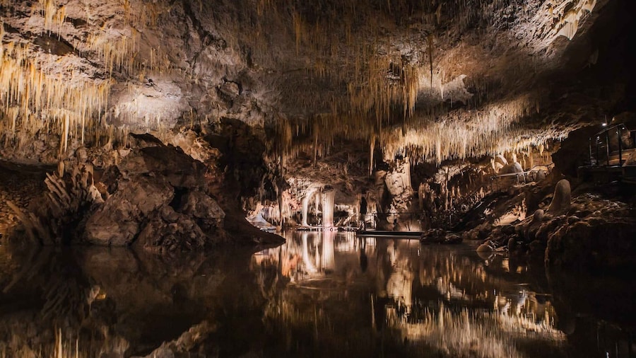 Margaret River: Lake Cave Fully-Guided Tour