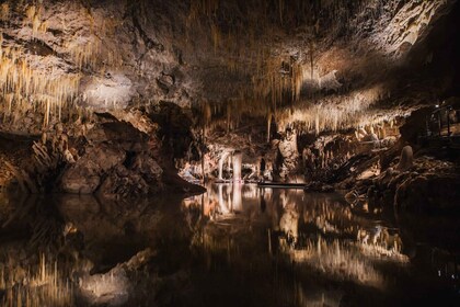 Margaret River: Lake Cave Vollständig geführte Tour