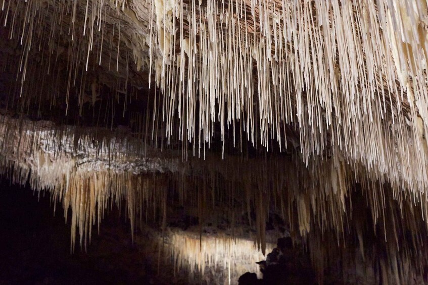 Picture 4 for Activity Margaret River: Lake Cave Fully-Guided Tour