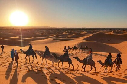 11 Days Morocco Tour From Casablanca Via Historic Cities & Desert