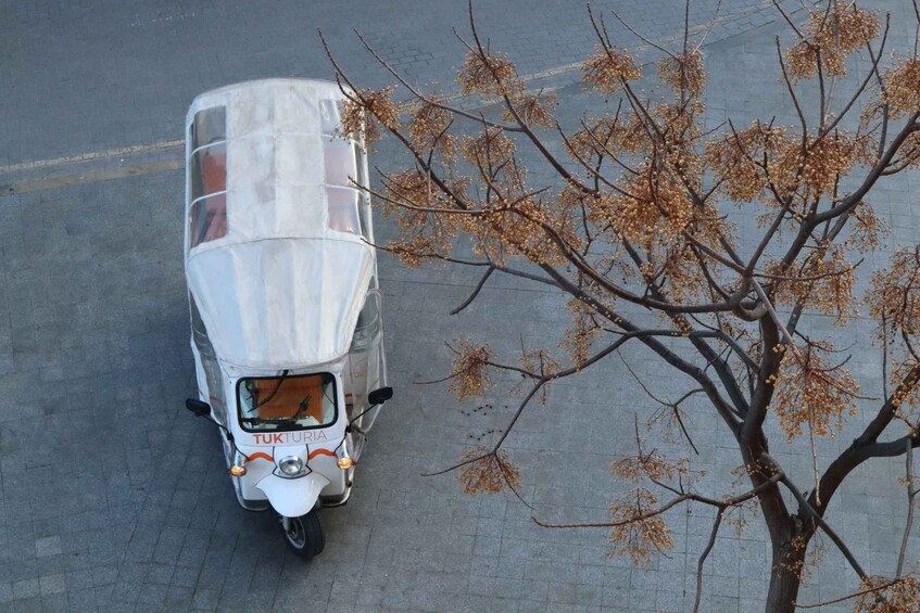 Picture 6 for Activity Valencia: Tuk Tuk Historical Tour