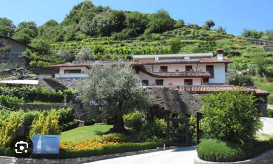 Picture 2 for Activity Lake Como: Winery Tour with Wine Tasting