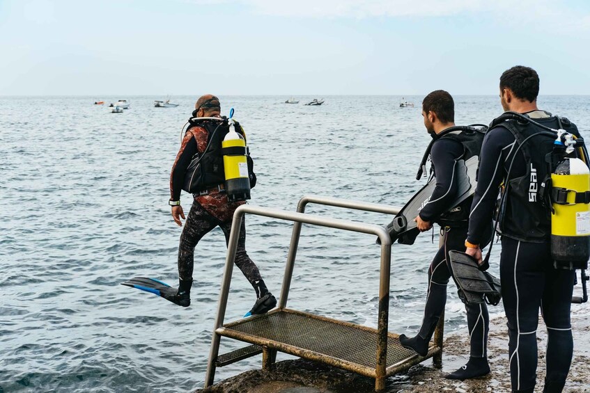 Picture 12 for Activity Tenerife: Scuba Diving Experience with Instructor and Gear