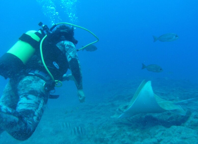 Picture 14 for Activity Tenerife: Scuba Diving Experience with Instructor and Gear