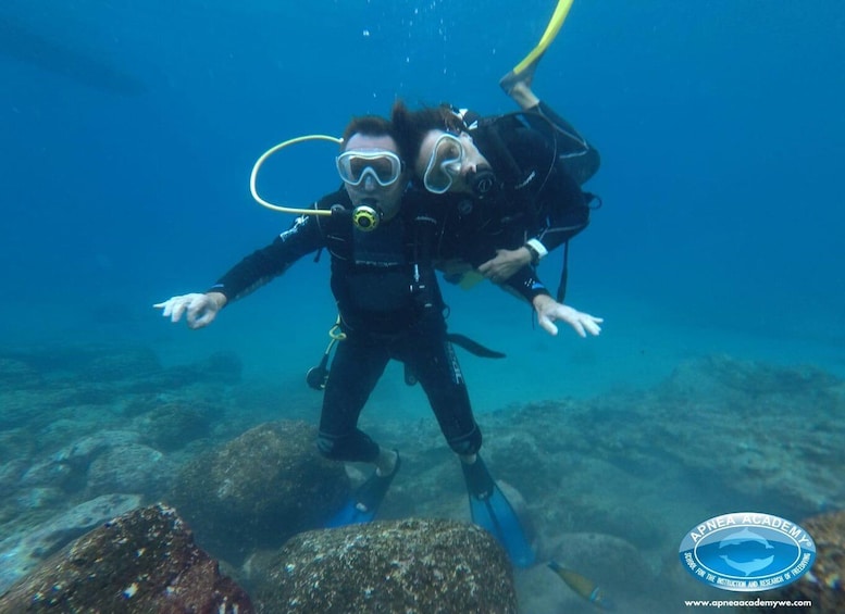 Picture 15 for Activity Tenerife: Scuba Diving Experience with Instructor and Gear
