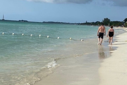 Negril day! beach and west end Cliffs with French Guide