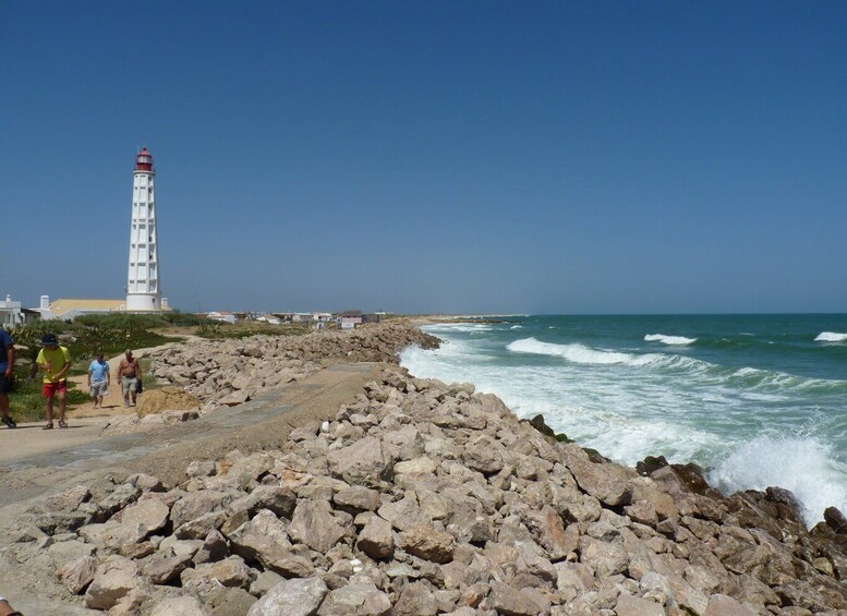 Picture 24 for Activity From Faro: Dolphin Watching & 2 Islands Tour