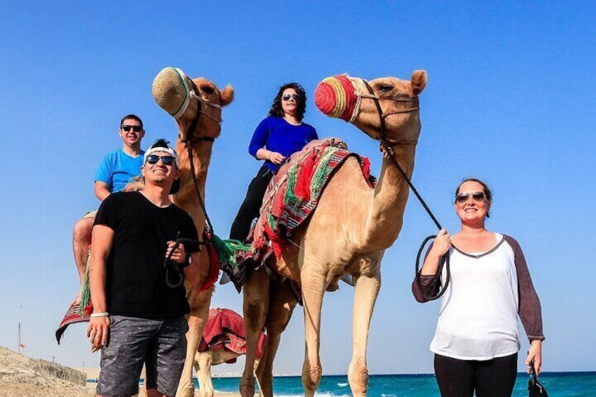1 Hour Camel Ride Experience in Sealine Beach