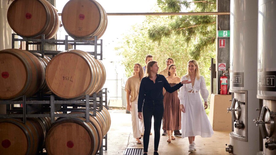 Brisbane: Sirromet Winery Tour with Tasting & 2-Course Lunch