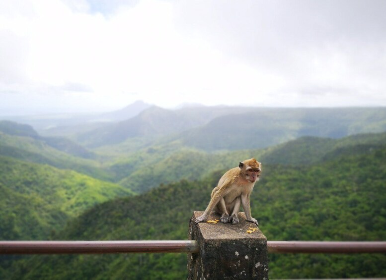 Picture 4 for Activity Mauritius: Private South Tour with Pickup