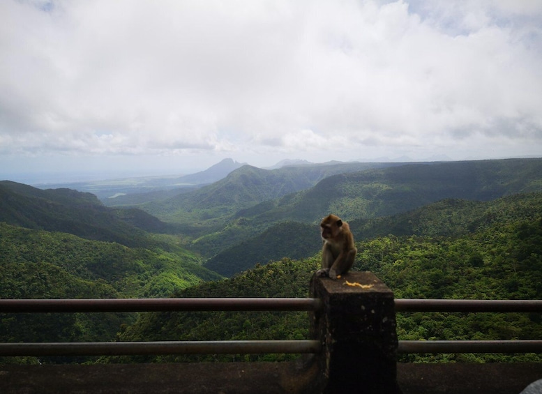 Picture 3 for Activity Mauritius: Private South Tour with Pickup