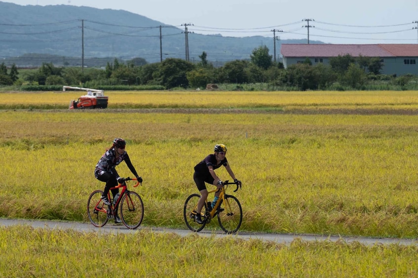 Picture 4 for Activity Niigata: Sado Island E-Bike or Crossbike Rental