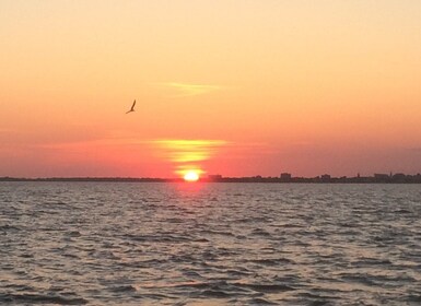 Charleston: Sunset Harbor Cruise