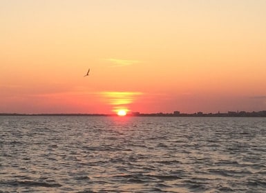 Charleston: Hafenrundfahrt bei Sonnenuntergang