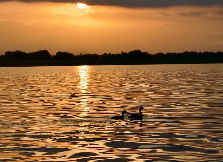 Picture 16 for Activity Virpazar: Skadar Lake Nature Kayak Tour