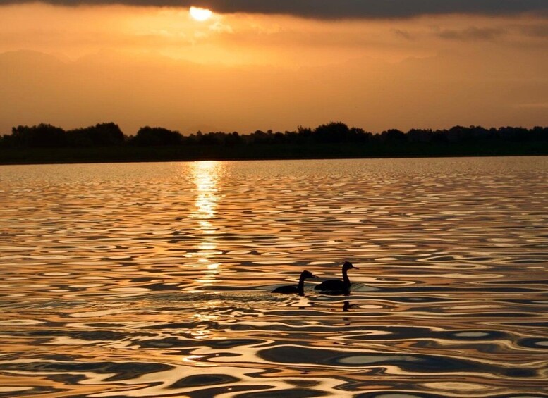 Picture 16 for Activity Virpazar: Skadar Lake Nature Kayak Tour