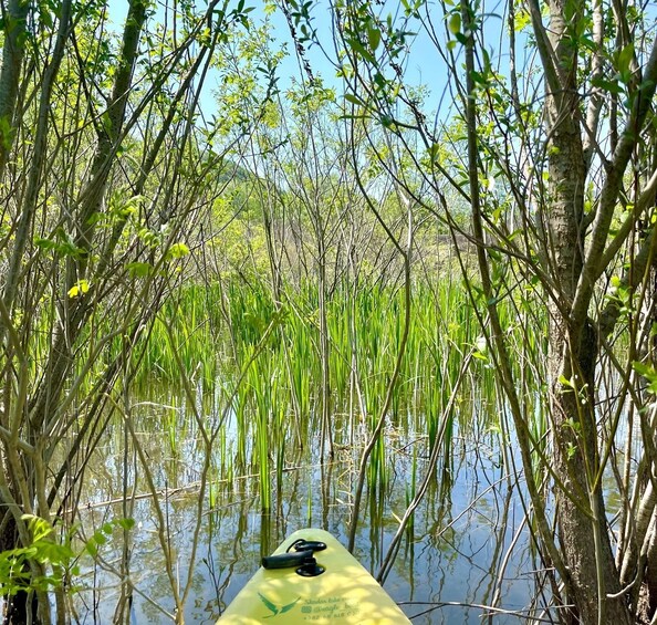 Picture 27 for Activity Virpazar: Skadar Lake Nature Kayak Tour