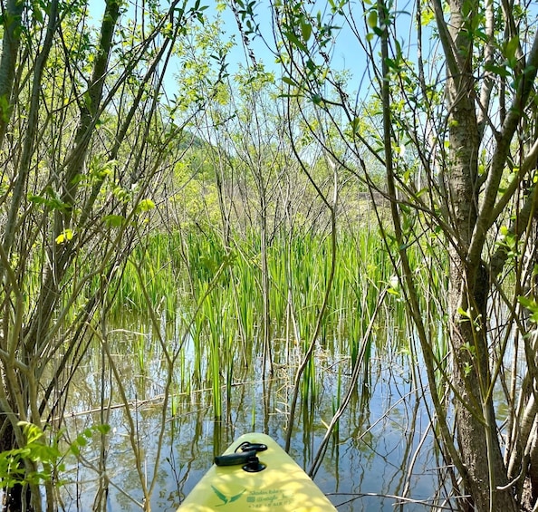 Picture 27 for Activity Virpazar: Skadar Lake Nature Kayak Tour