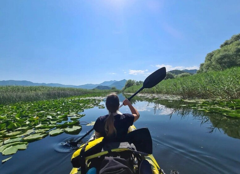Picture 24 for Activity Virpazar: Skadar Lake Nature Kayak Tour