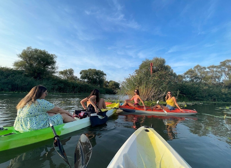 Picture 13 for Activity Virpazar: Skadar Lake Nature Kayak Tour