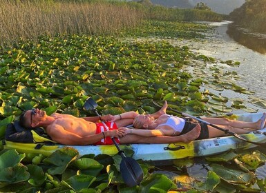 Virpazar: Skadar Lake Nature Kayak Tour