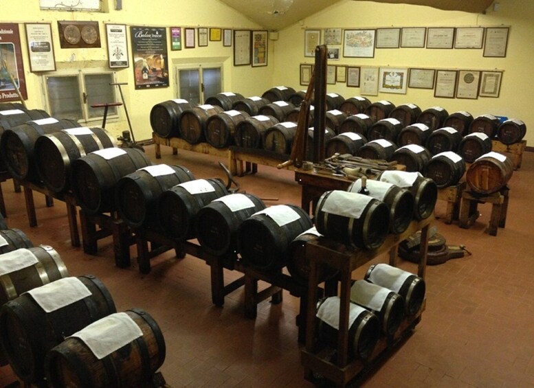 Picture 1 for Activity Modena: Balsamic Vinegar Cellar Tour, Tasting & Food Pairing